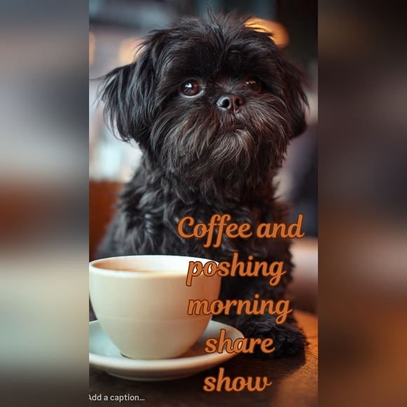 Coffee and Poshing early morning show - Picture 1 of 8